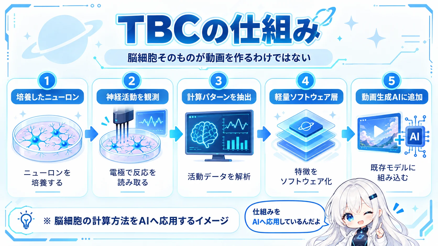 「TBCの仕組み」と題した図解。副題は「脳細胞そのものが動画を作るわけではない」。1 培養したニューロン（ニューロンを培養する）、2 神経活動を観測（電極で反応を読み取る）、3 計算パターンを抽出（活動データを解析）、4 軽量ソフトウェア層（特徴をソフトウェア化）、5 動画生成AIに追加（既存モデルに組み込む）が矢印でつながる。下に「脳細胞の計算方法をAIへ応用するイメージ」と書かれ、右下でゆなが「仕組みをAIへ応用しているんだよ」と話している